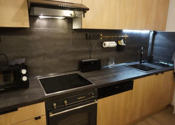 L\'Experience Appartement & Spa Prive Chambery